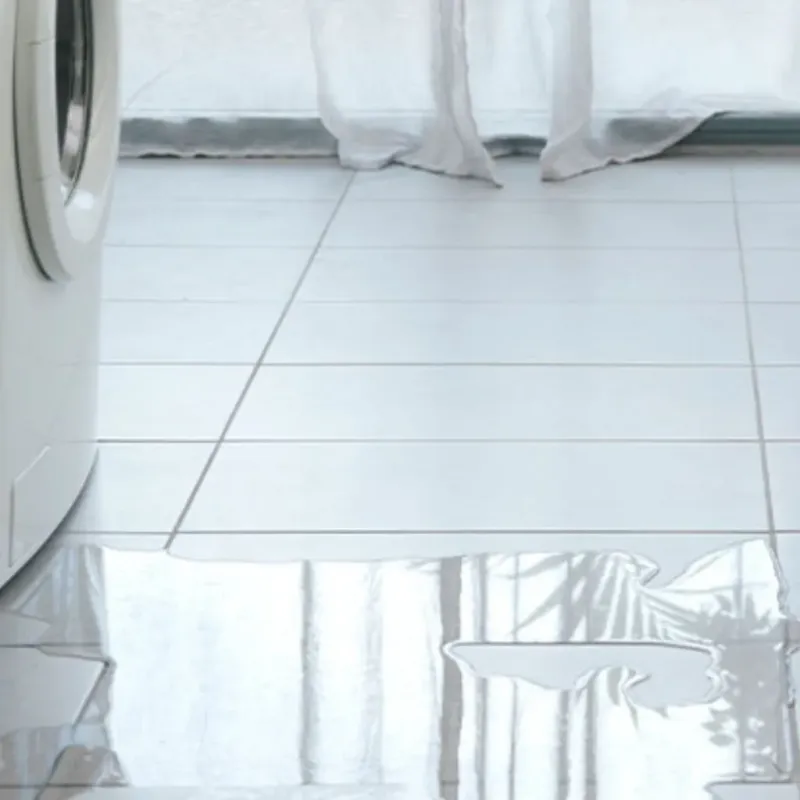 Appliance Leak Cleanup in Momence, IL