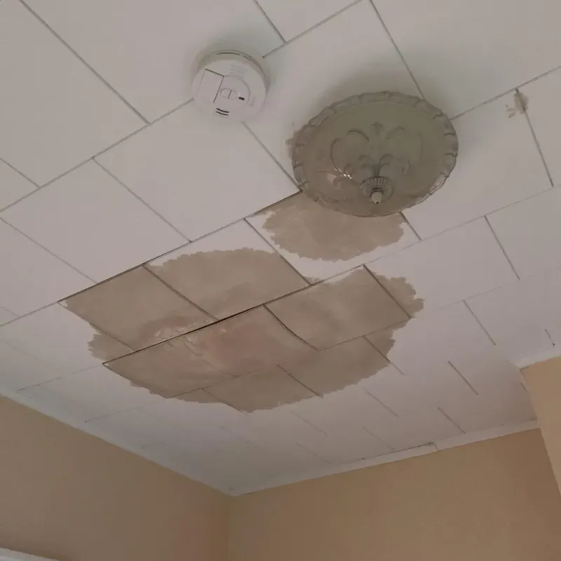 Ceiling Water Damage Repair in Momence, IL