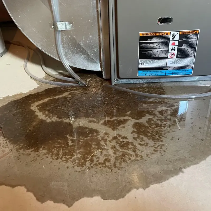 Pipe Burst and Leak Restoration in Momence, IL