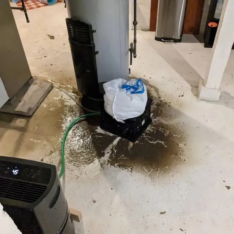 Sewage Backup Cleanup Service in Momence, IL